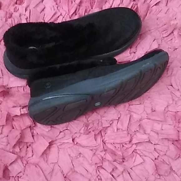 Bzee - Picture 2 of 2